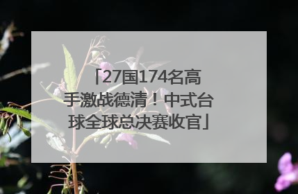 27国174名高手激战德清！中式台球全球总决赛收官